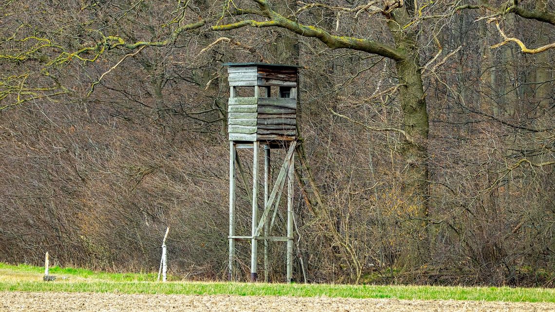 Myśliwy aresztowany po śmiertelnym postrzeleniu 68-latka. Twierdził, że pomylił go z dzikiem