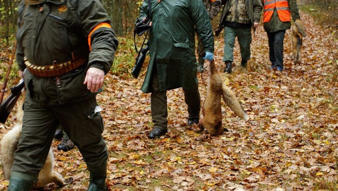 Myśliwy nie wejdzie na twoje pole. Jeśli to w porę zgłosisz
