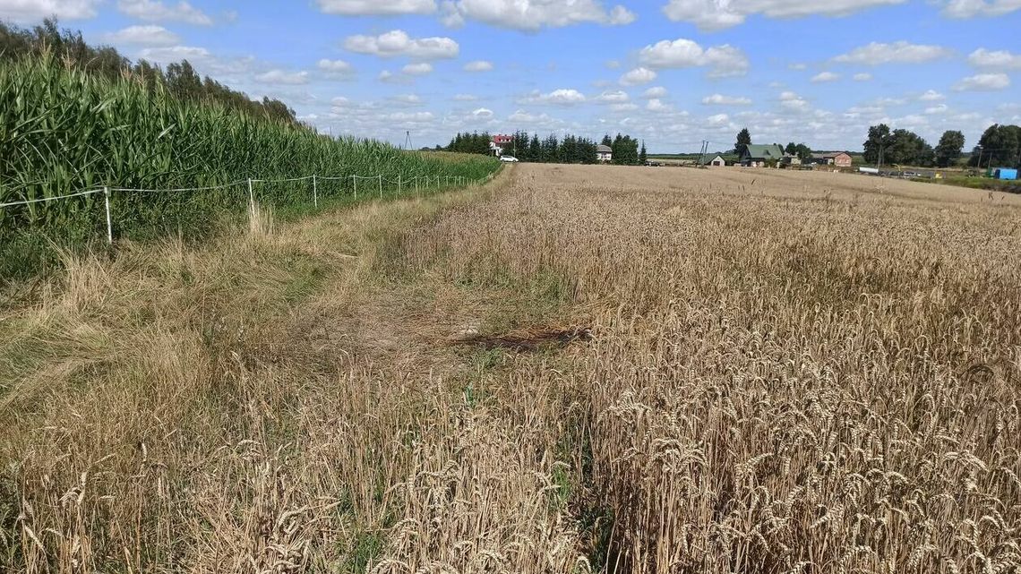 Na ciele ślady psich kłów. Są wstępne wyniki sekcji zwłok 67-latka z gminy Jeziorzany