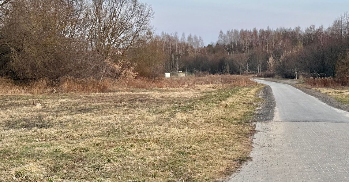 Na grilla nad Czechówkę? Niebawem to będzie możliwe