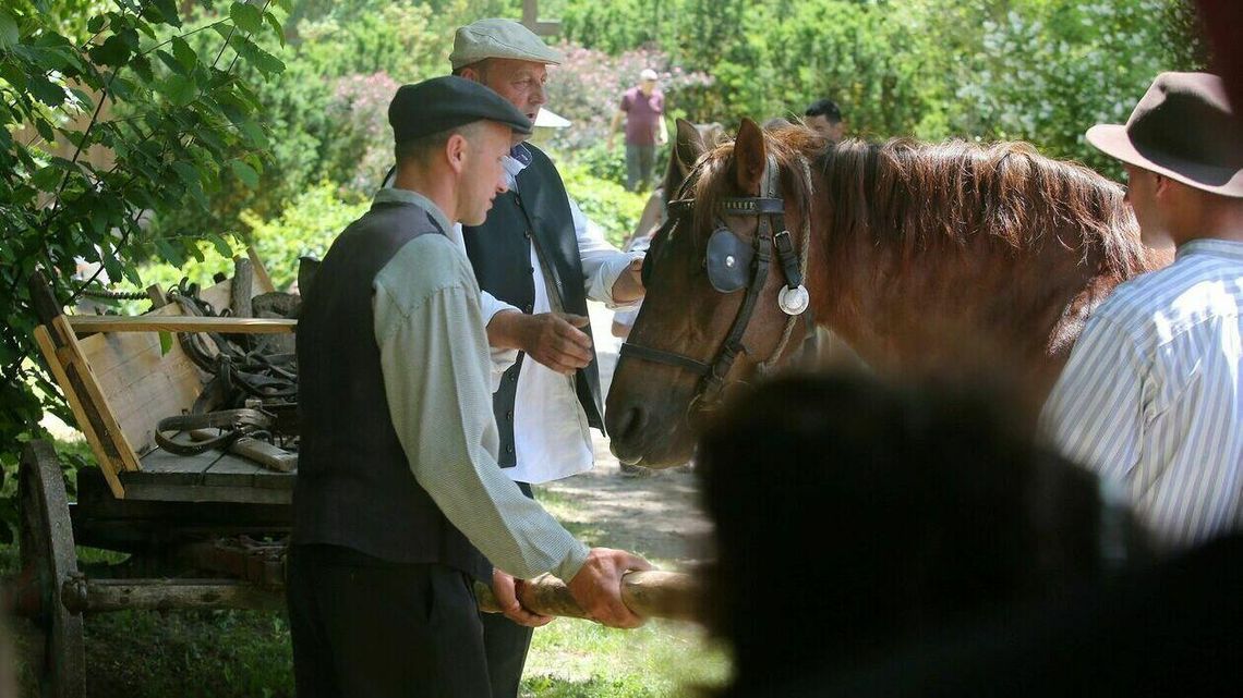 Na końskim targu w Lublinie Na końskim targu w Lublinie
