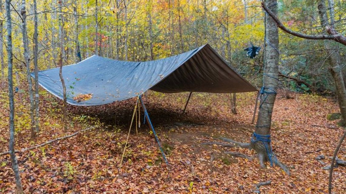 Na nocleg do lasu. Gdzie legalnie można rozbić namiot w Lubelskiem? Na nocleg do lasu. Gdzie legalnie można rozbić namiot w Lubelskiem?
