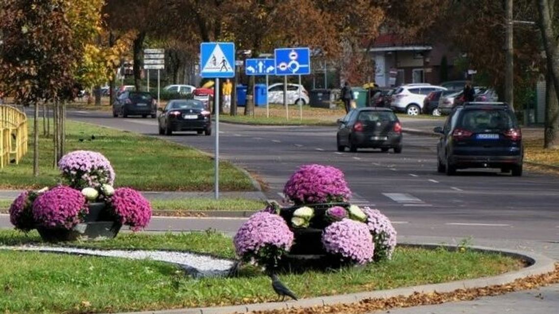 Na placach, skwerach i rondach zaroiło się od kolorów