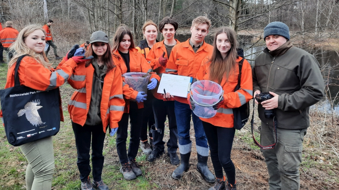 Na ratunek ropuchom, traszkom i grzebiuszkom "Ocal żabkę" 