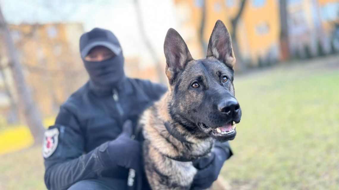 Na służbie: Lubelscy „Poszukiwacze” mają nowego funkcjonariusza Na służbie: Lubelscy „Poszukiwacze” mają nowego funkcjonariusza