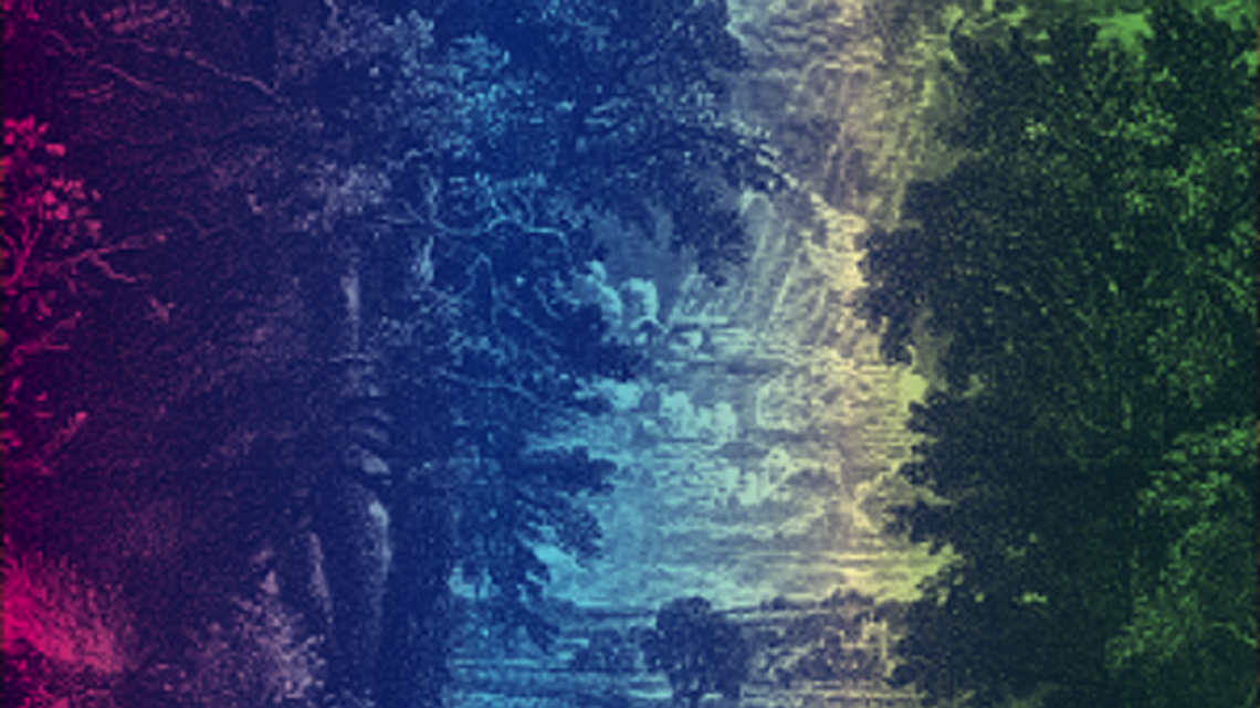 Na spacer po Starym Gaju