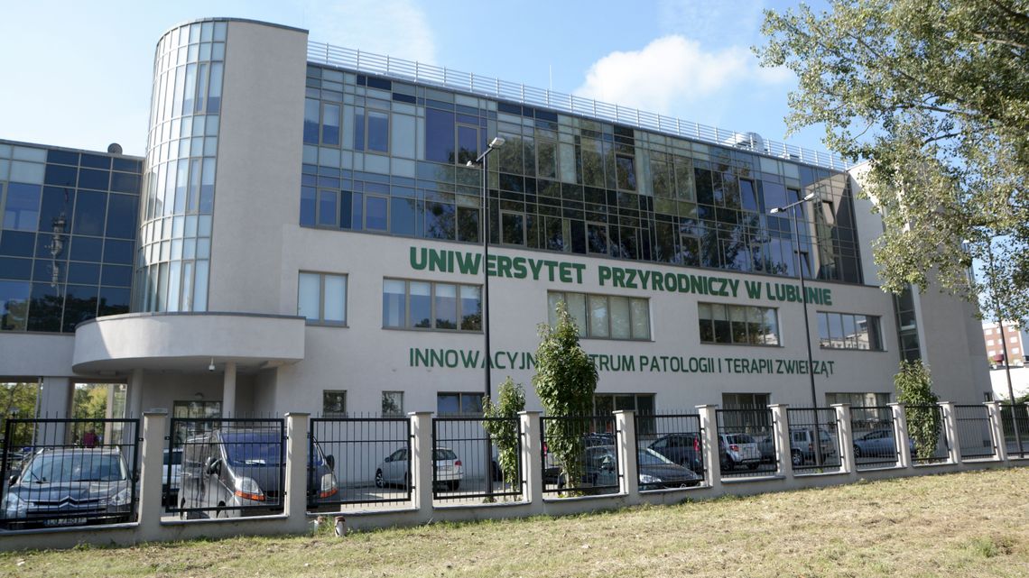 Na te studia decydują się najczęściej ludzie z powołaniem. Lubelska weterynaria ma 75 lat Na te studia decydują się najczęściej ludzie z powołaniem. Lubelska weterynaria ma 75 lat