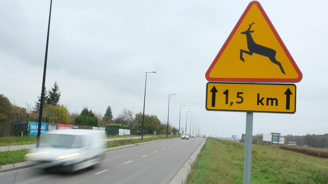 Na trasie z Lublina do Świdnika stawiają na "wilcze oczy"