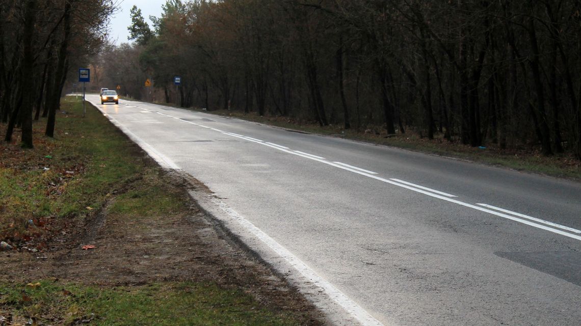 Na tych drogach w powiecie puławskim najczęściej można spotkać dzikie zwierzęta