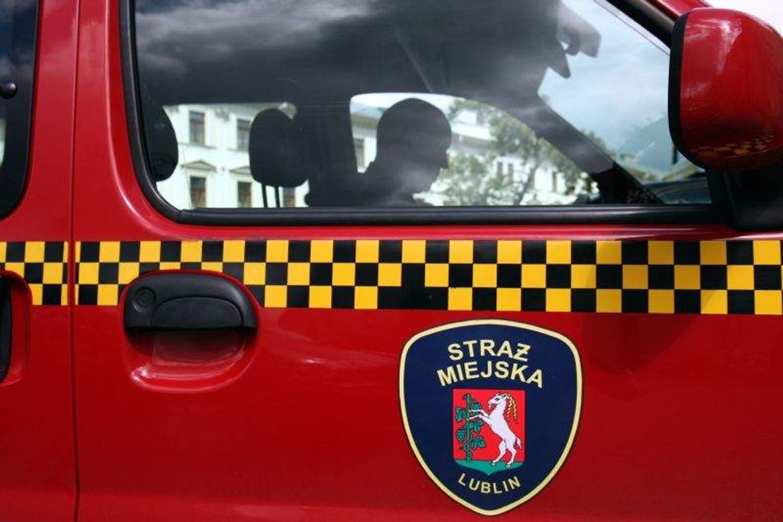 Nabór do Straży Miejskiej w Lublinie. Do wzięcia jest 10 etatów