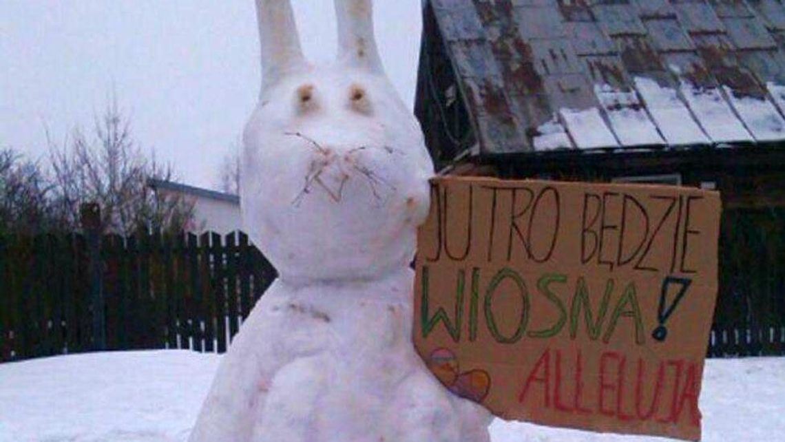 Nad lubelskie wraca zima? Synoptycy już wiedzą, czy czekają nas białe święta