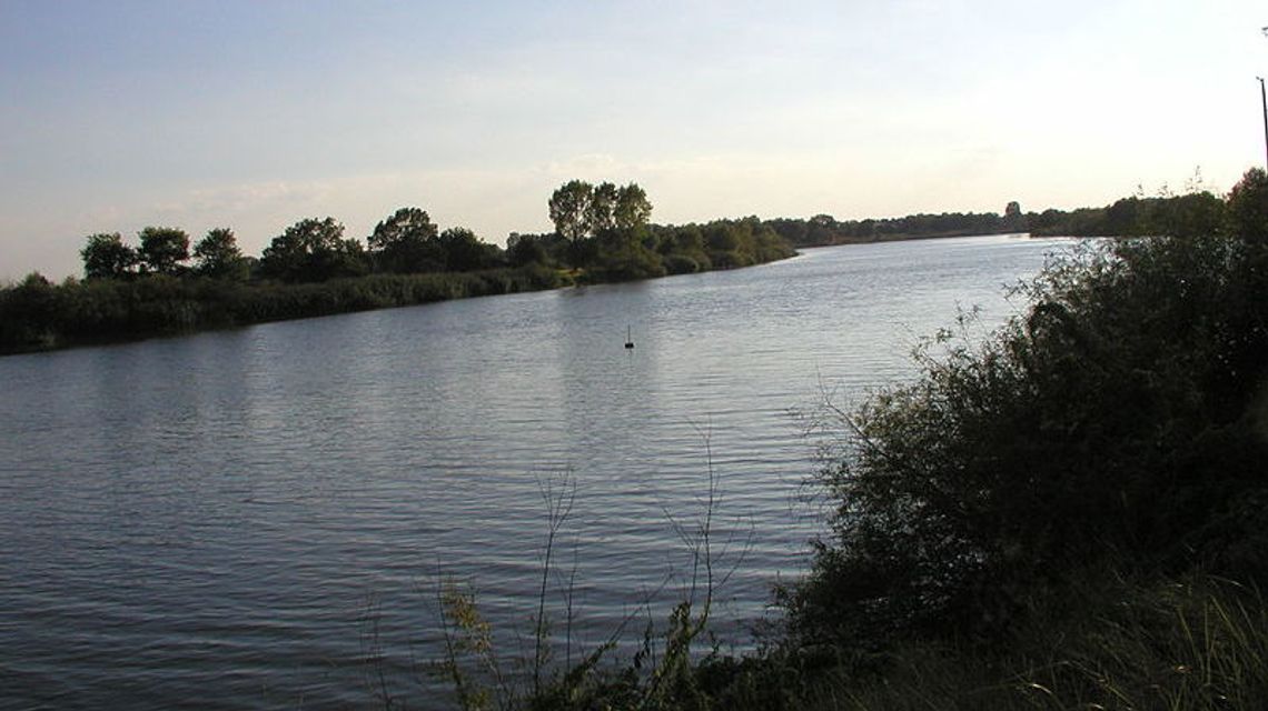 Nad rzeką znaleźli czarne renault, a w środku ciała małżeństwa i ich psa Nad rzeką znaleźli czarne renault, a w środku ciała małżeństwa i ich psa