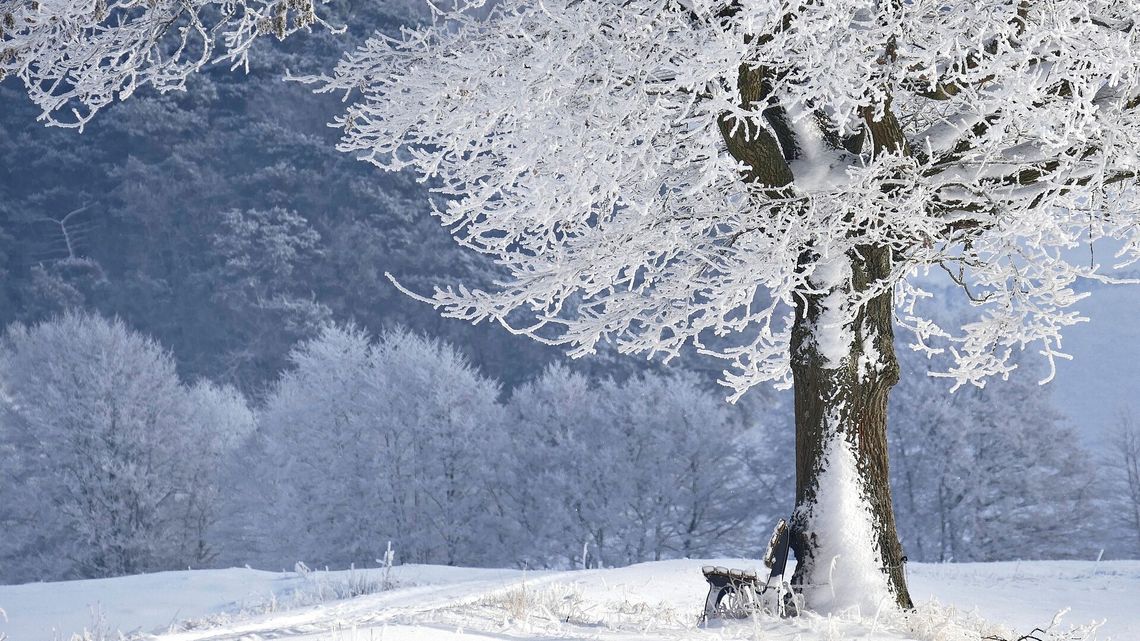 Nadciągają mrozy. Temperatura spadnie już tej nocy