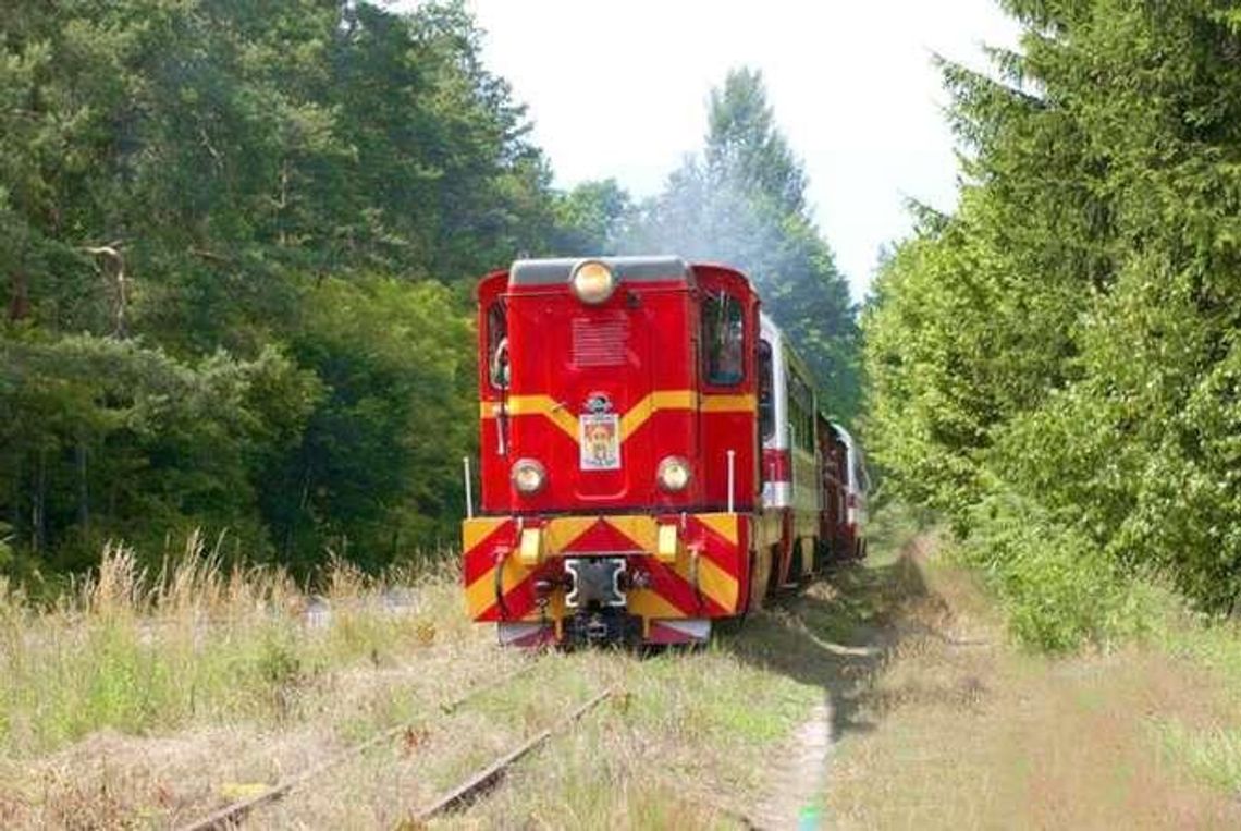 Nadwiślańska Kolejka Wąskotorowa przejdzie modernizację
