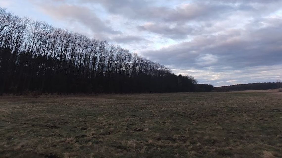 Nagi mężczyzna siedział na łące. Tak przechodził kwarantannę