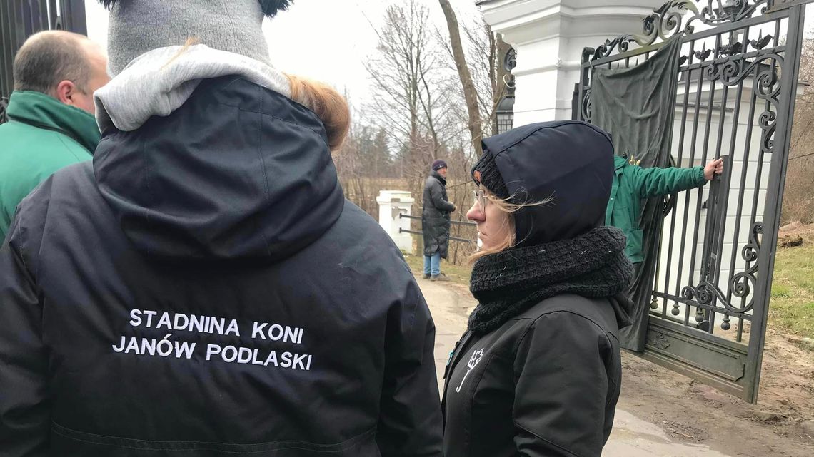 Nagła zmiana prezesa stadniny koni w Janowie Podlaskim. Protest pracowników