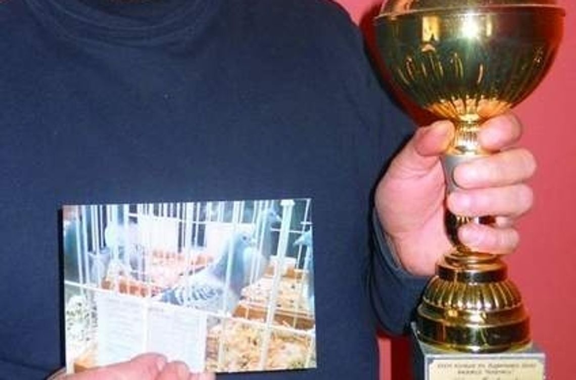 Nagroda 20 tys. złotych za informację o... skradzionej gołębicy