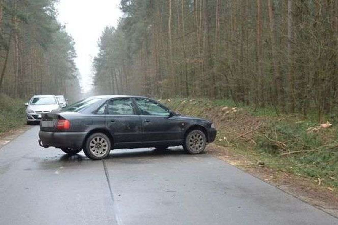 Najechał autem na pień drzewa. Kawałek trafił w 19-latka  