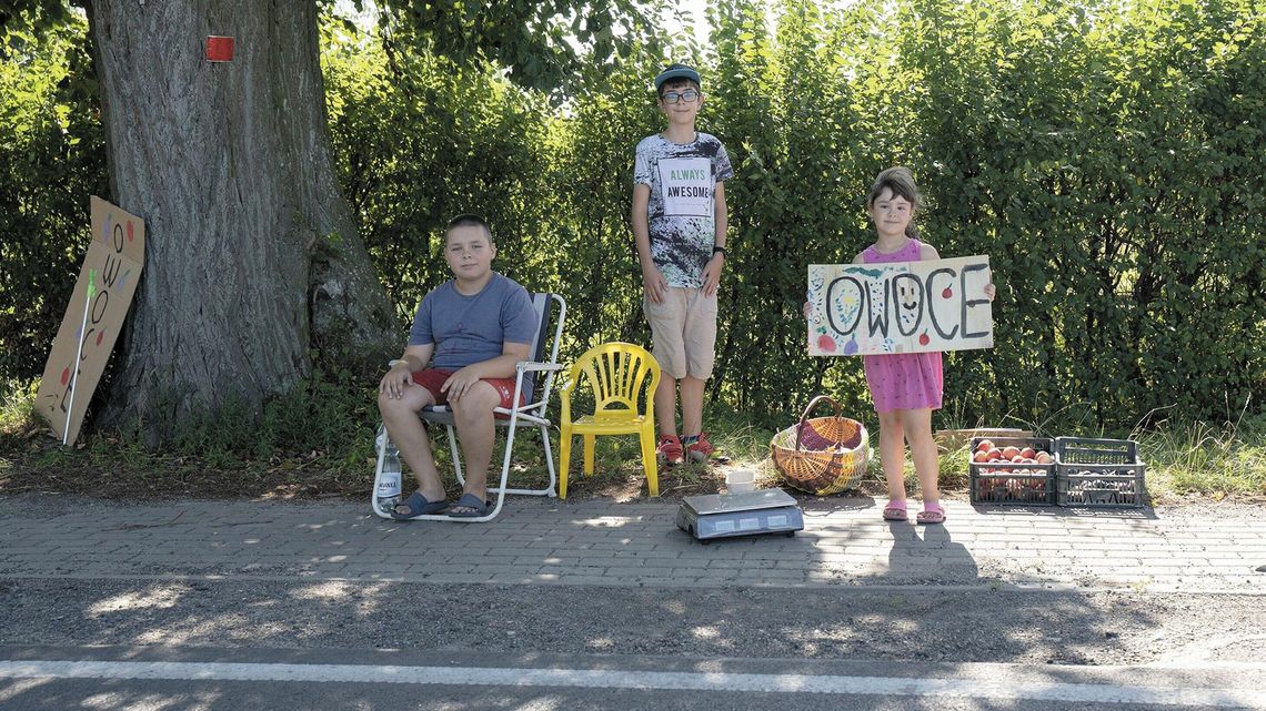 Najlepsza lekcja zaradności. Pod Lublinem dzieci rano zrywają owoce, po południu je sprzedają Najlepsza lekcja zaradności. Pod Lublinem dzieci rano zrywają owoce, po południu je sprzedają