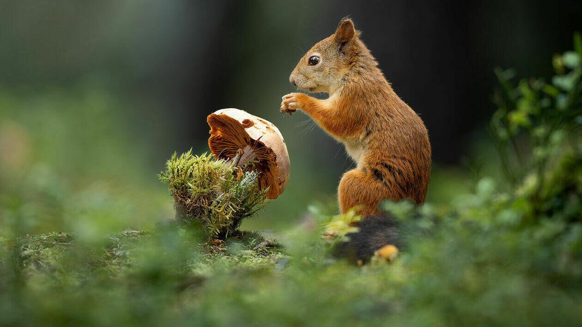 Najlepsze fotografie w jednym miejscu. Wystawa zdjęć roku 2023