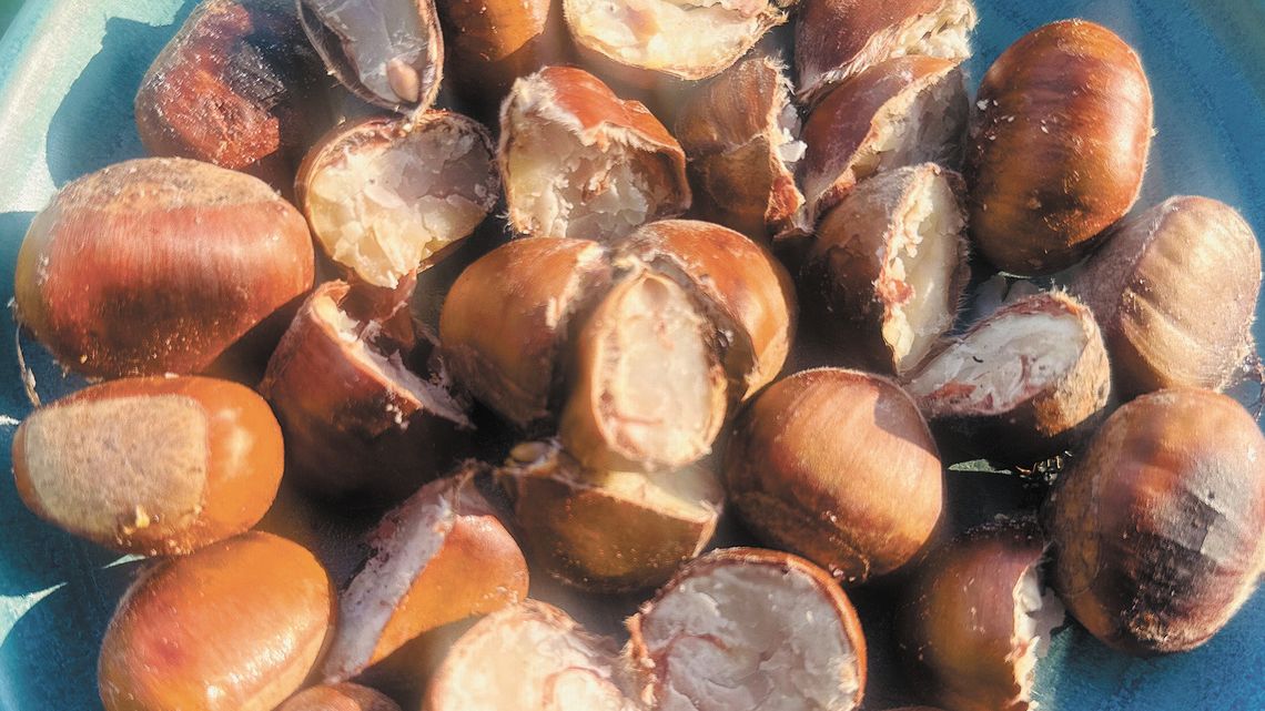 Najlepsze kasztany. Przepisy Najlepsze kasztany. Przepisy