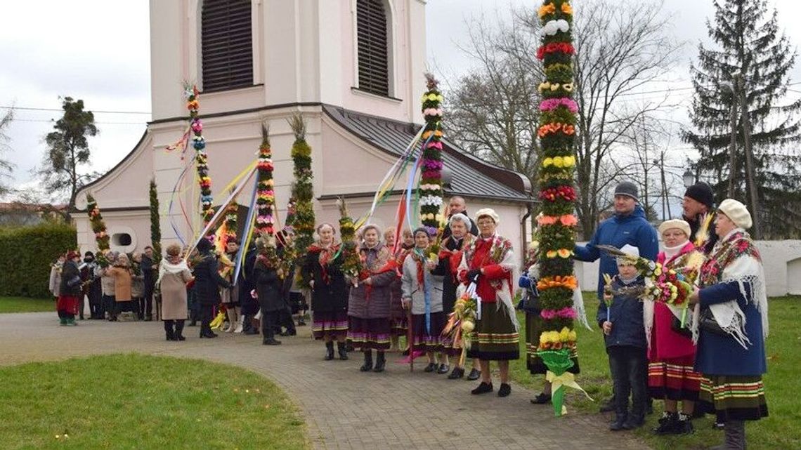 Najpiękniejsze palmy w Baranowie wybrane. Wygrały "Śniadowianki" Najpiękniejsze palmy w Baranowie wybrane. Wygrały "Śniadowianki"