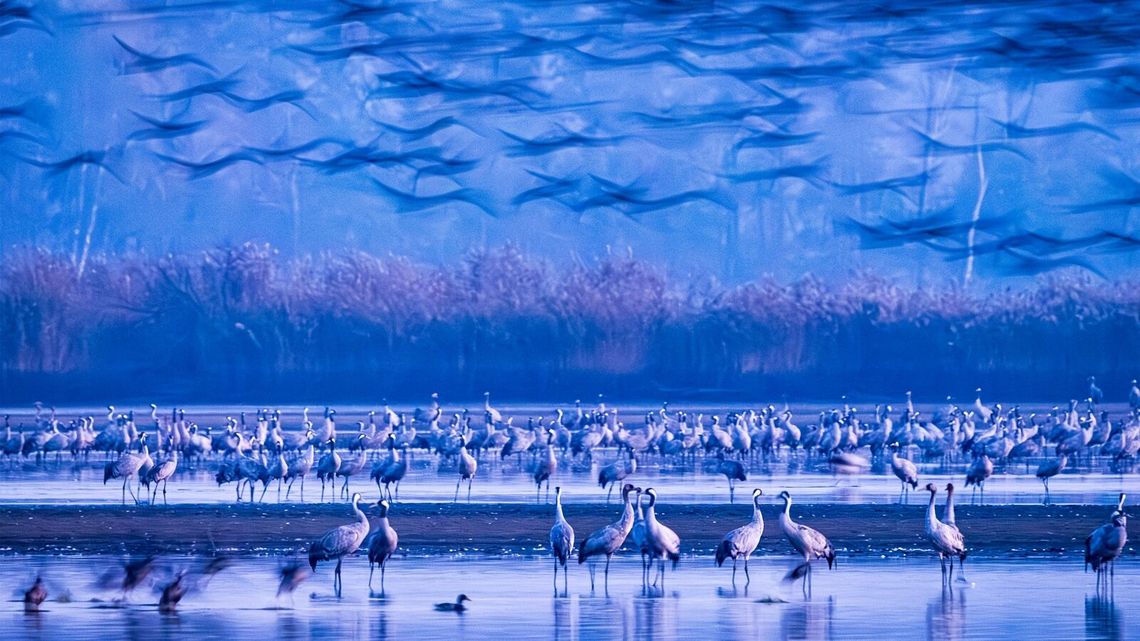 Najpiękniejsze z pięknych. Oto zdjęcia nagrodzone na ogólnopolskim przeglądzie Najpiękniejsze z pięknych. Oto zdjęcia nagrodzone na ogólnopolskim przeglądzie