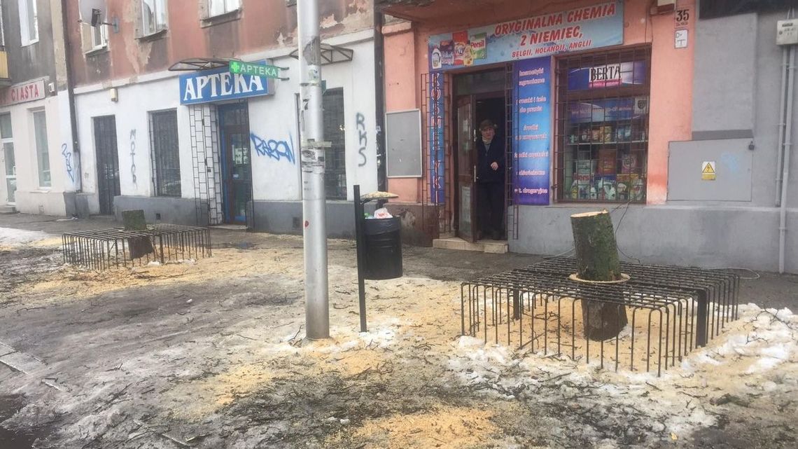 Najpierw poszły do klatek, a teraz wycinka. Z kolejnych ulic Lublina znikają drzewa