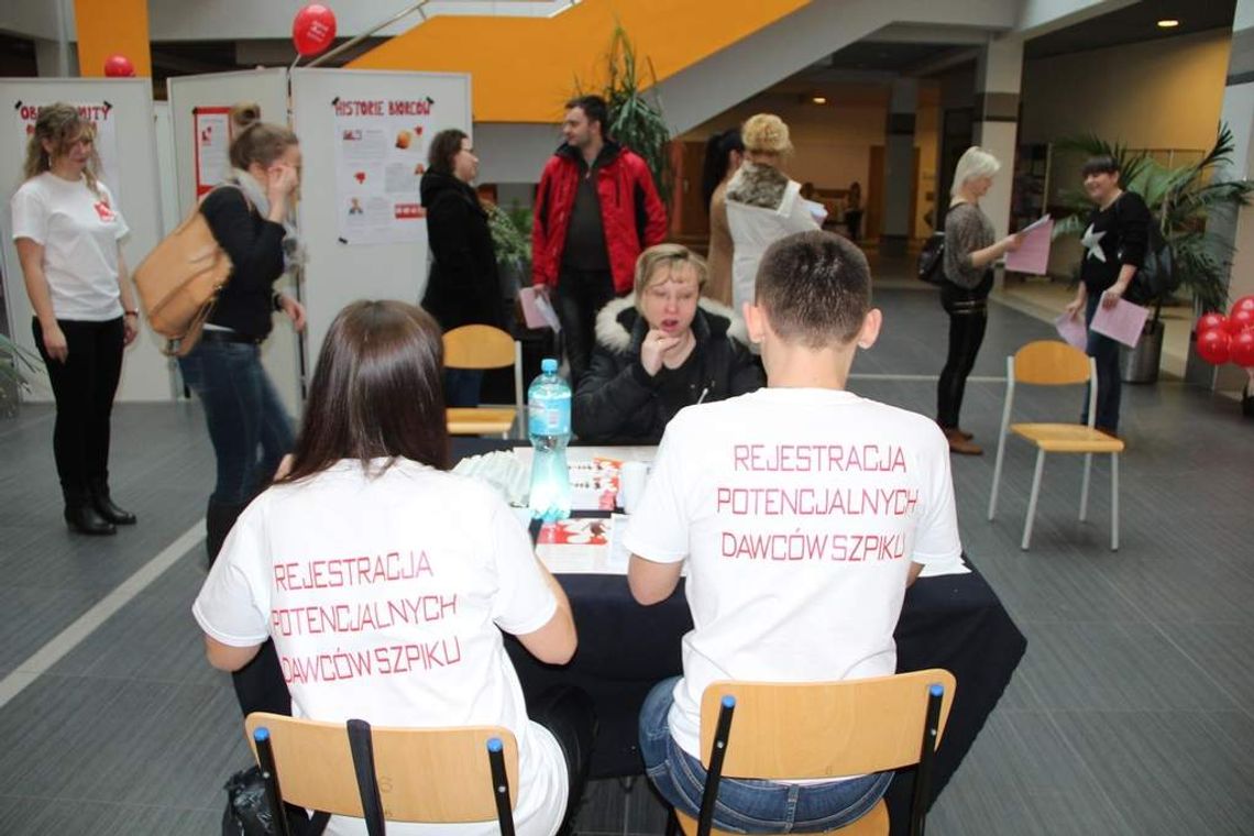 Najpierw ślina, później szpik