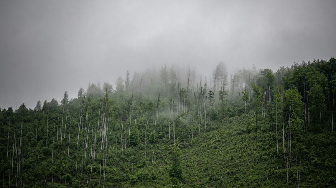 Najpopularniejsze uzdrowiska w Polsce. Odkryj lecznicze kurorty