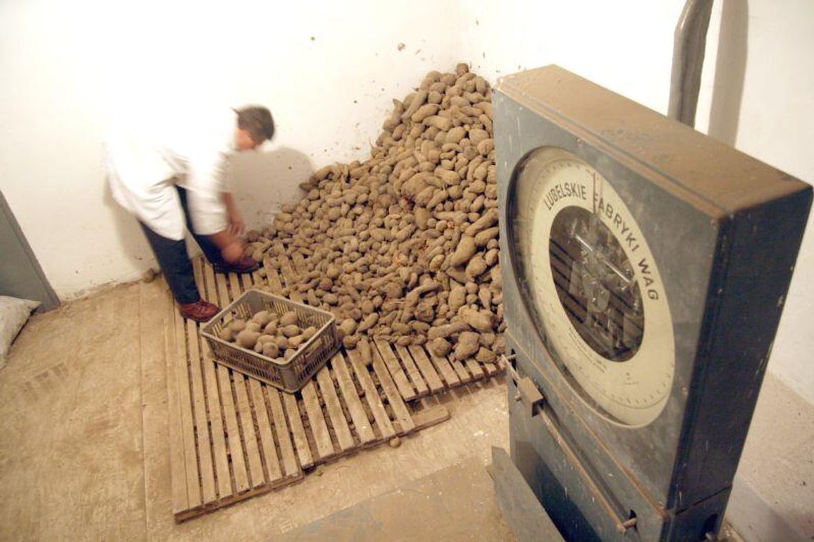 Najwyższa pora kopcować ziemniaki Najwyższa pora kopcować ziemniaki