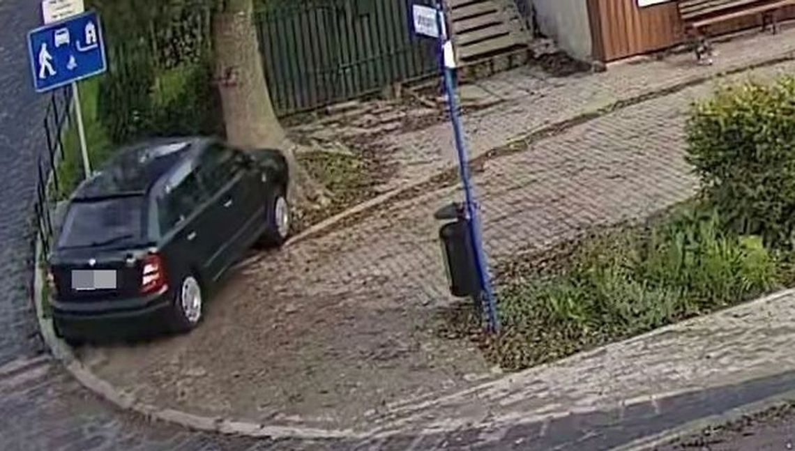 Nałęczów: Kierowca zjechał z drogi i uderzył w drzewo. Zmarł w szpitalu