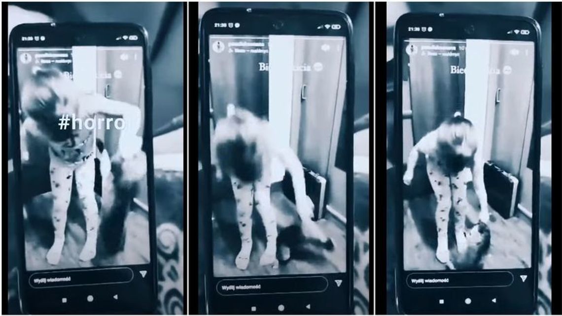 Namówiła kilkuletnią kuzynkę, by tłukła kotem o podłogę