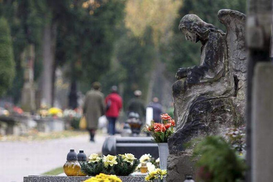 Napadał młode kobiety na cmentarzu. Groził im nożem Napadał młode kobiety na cmentarzu. Groził im nożem