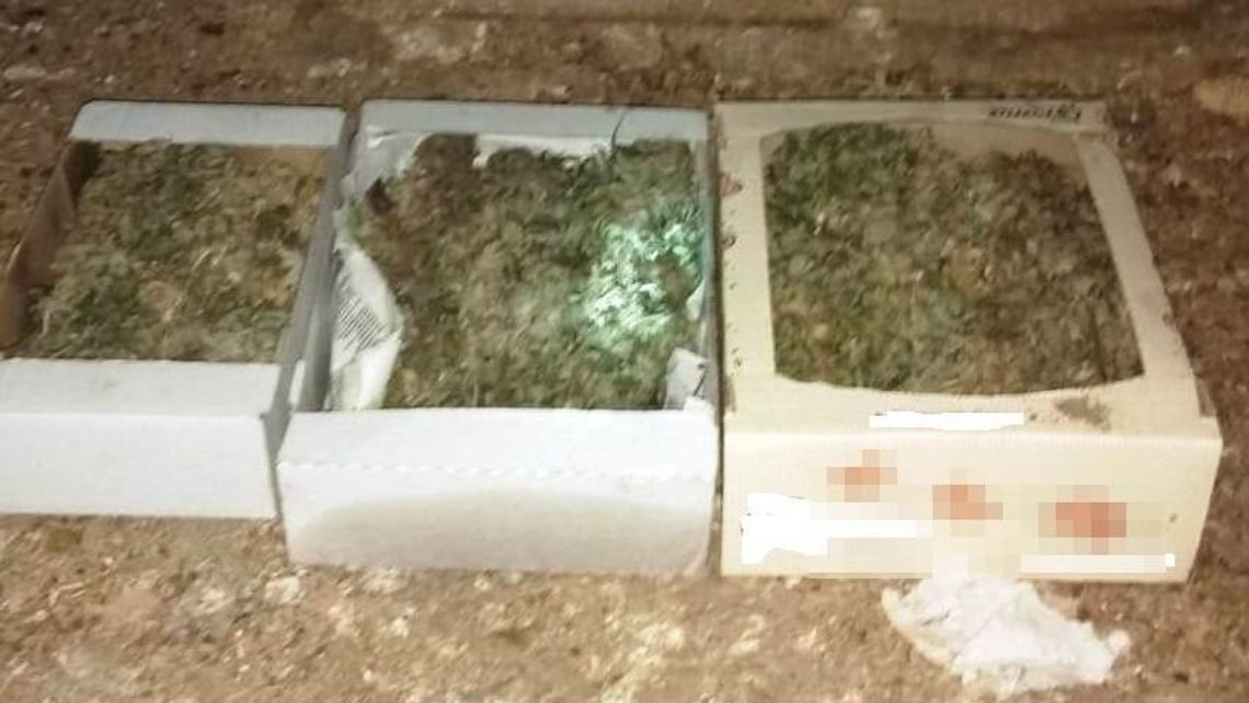 Narkotyki na strychu, a w łóżku sprzęt 