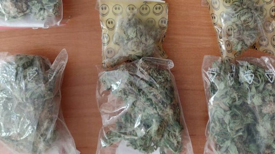 Narkotyki w domu, krzaki w ogródku