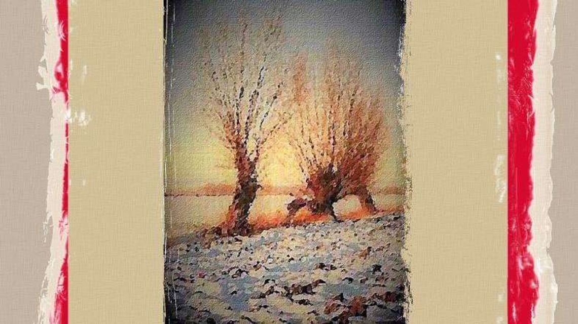 Narodowe Czytanie w WBP