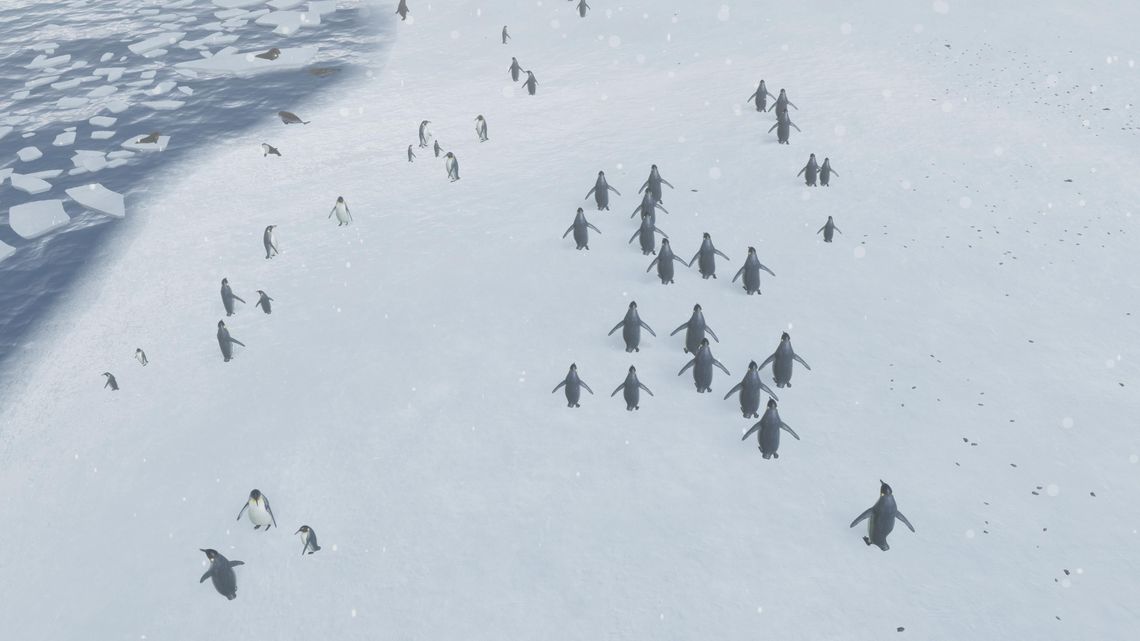 Natural Instincts: Uratuj zwierzęta, chroń przyrodę (wideo)