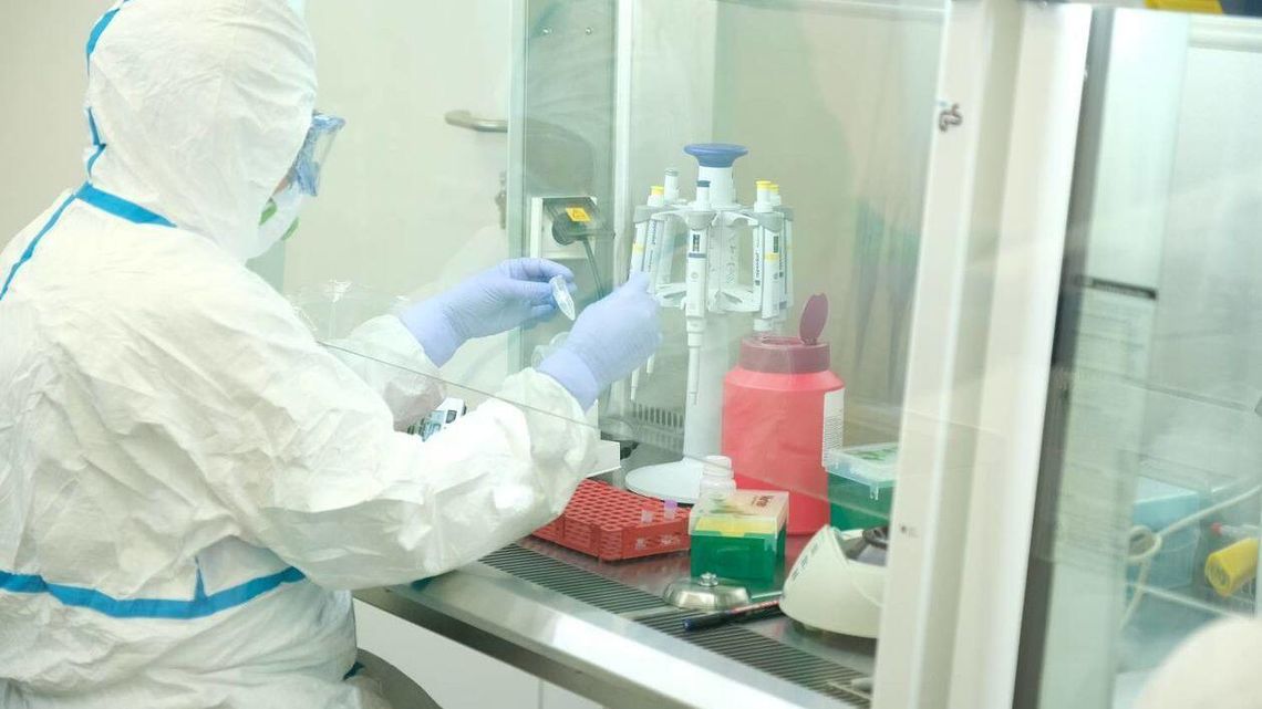 Naukowcy: W Europie mutacja koronawirusa. Łagodniejszy przebieg