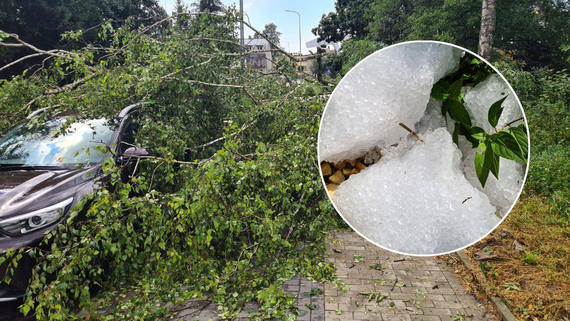 Nawałnica przeszła nad Zamościem. Zerwane dachy, połamane drzewa