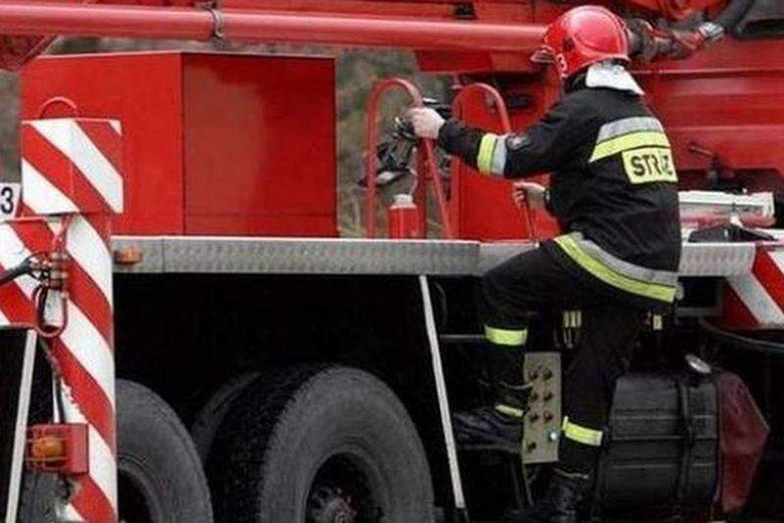 Nawałnice w woj. lubelskim: Połamane drzewa, zalane piwnice. 80 interwencji straży