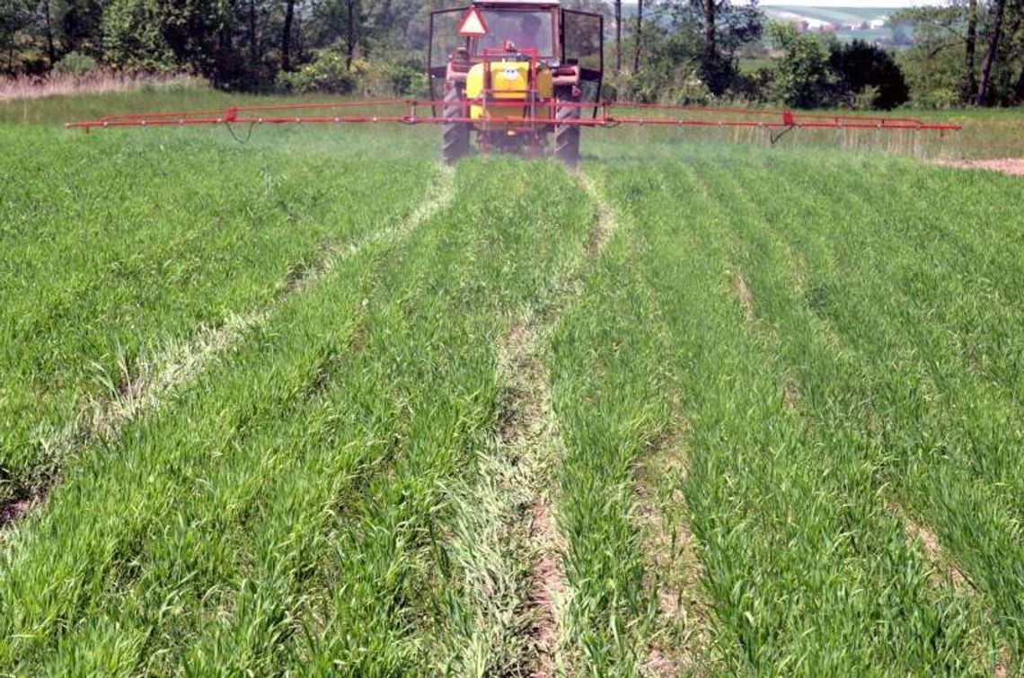 Nawozy pod lupą naukowców z Puław