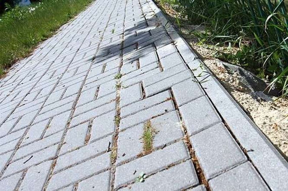 Nie będzie na razie chodnika między ul. Granitową a Węglinek Nie będzie na razie chodnika między ul. Granitową a Węglinek