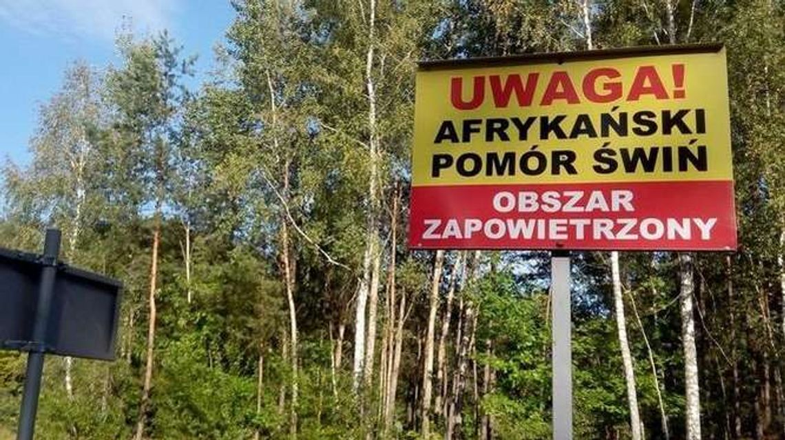 Nie będzie płotu wzdłuż wschodniej granicy. Minister rezygnuje z pomysłu poprzednika Nie będzie płotu wzdłuż wschodniej granicy. Minister rezygnuje z pomysłu poprzednika