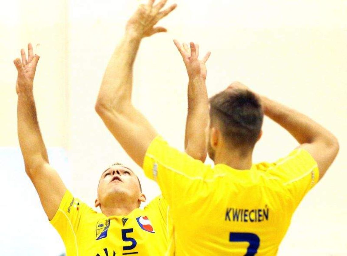 Nie było pieniędzy na wzmocnienia drużyny siatkarzy Avii Świdnik