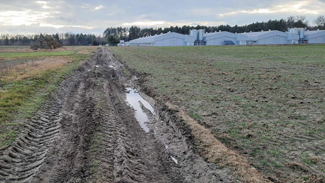 Nie chcą budowy kolejnych kurników we wsi. Wójt: "zapach jest rzeczą subiektywną"