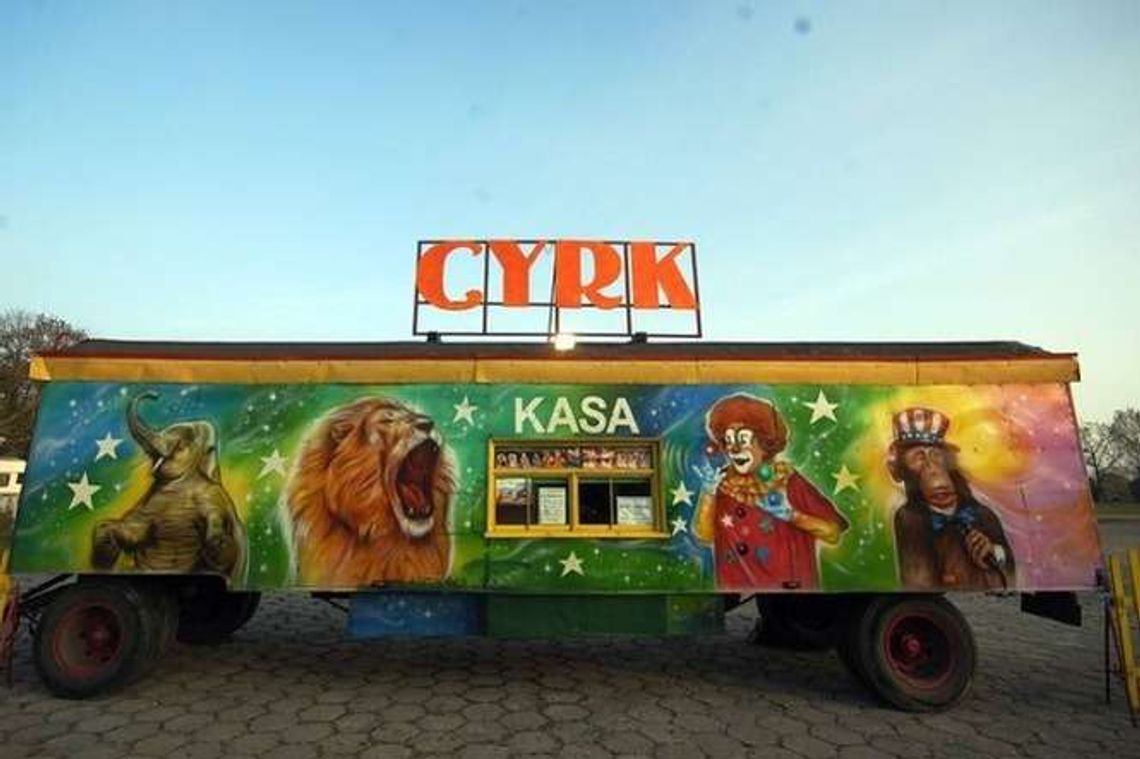 Nie chcą cyrku ze zwierzętami w Białej Podlaskiej. Będzie petycja