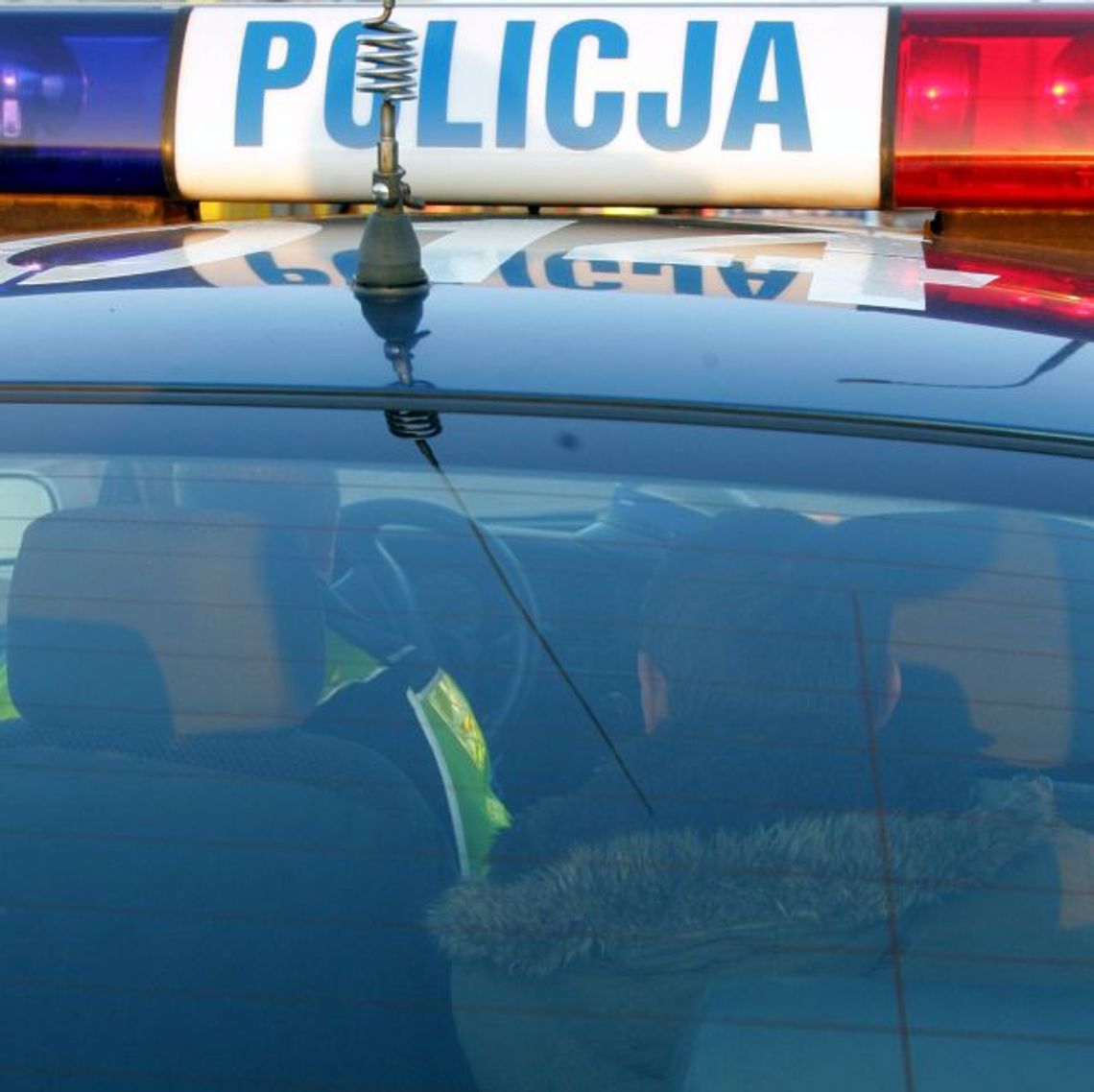 Nie dość, że pijany i na zakazie, to jeszcze z bronią