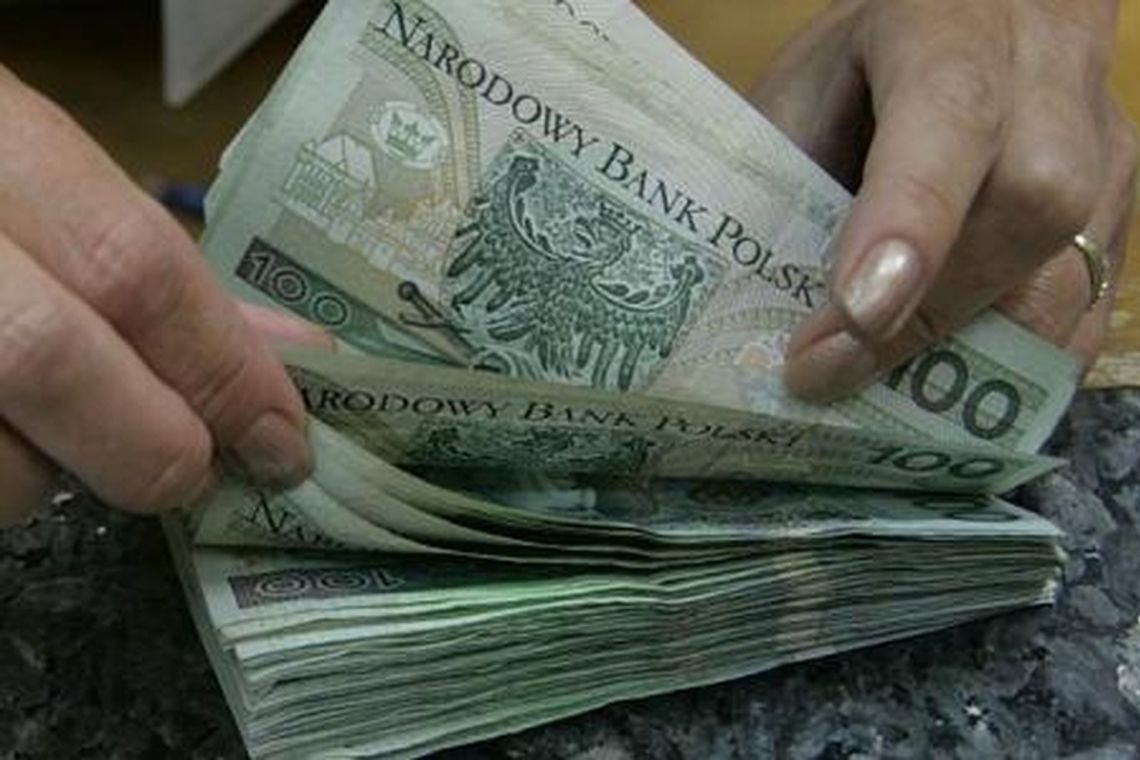 Nie dostała dotacji, bo zbyt profesjonalnie podeszła do biznesu