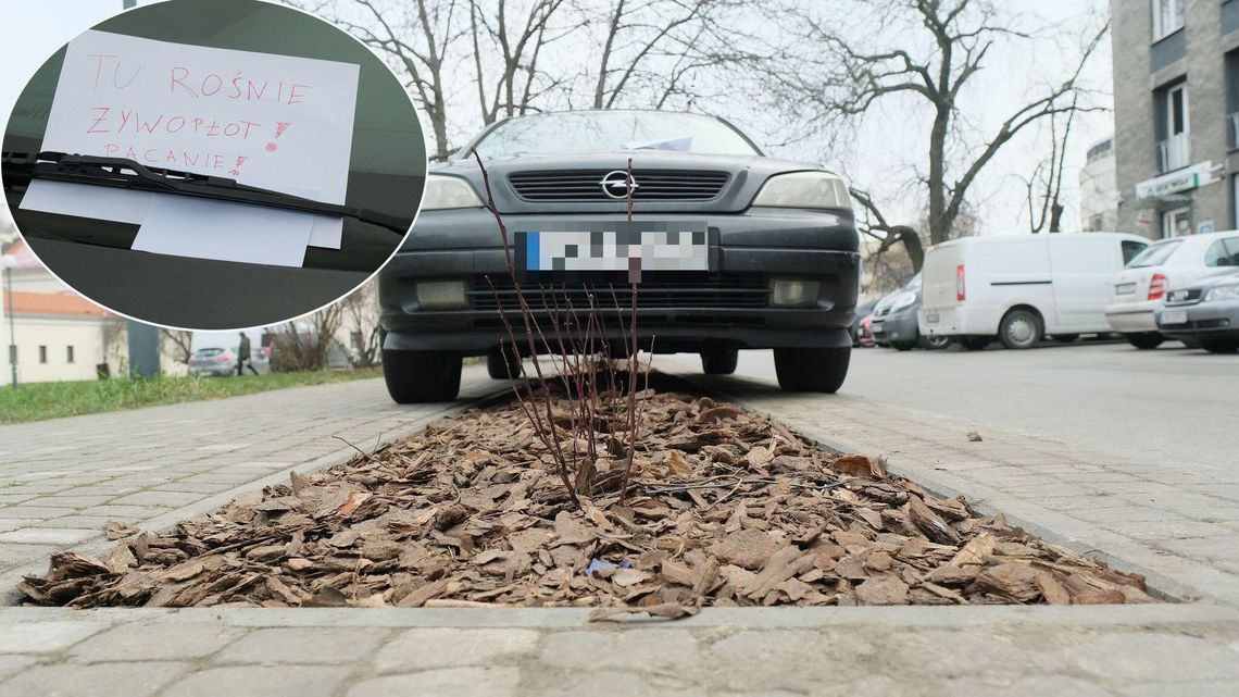 Nie działa ani metoda "na trawnik" ani "na żywopłot". Kierowcy uparcie tu parkują Nie działa ani metoda "na trawnik" ani "na żywopłot". Kierowcy uparcie tu parkują